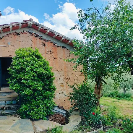 Casa di campagna Casa De Canelas - Refugio Terroir Acoreira