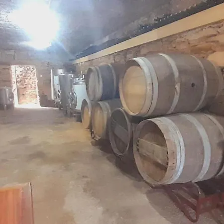 Casa De Canelas - Refugio Terroir Acoreira