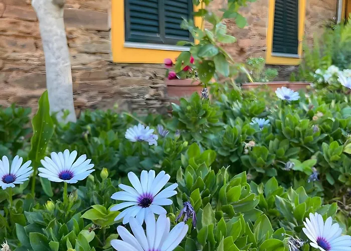 Casa di campagna Casa De Canelas - Refugio Terroir *