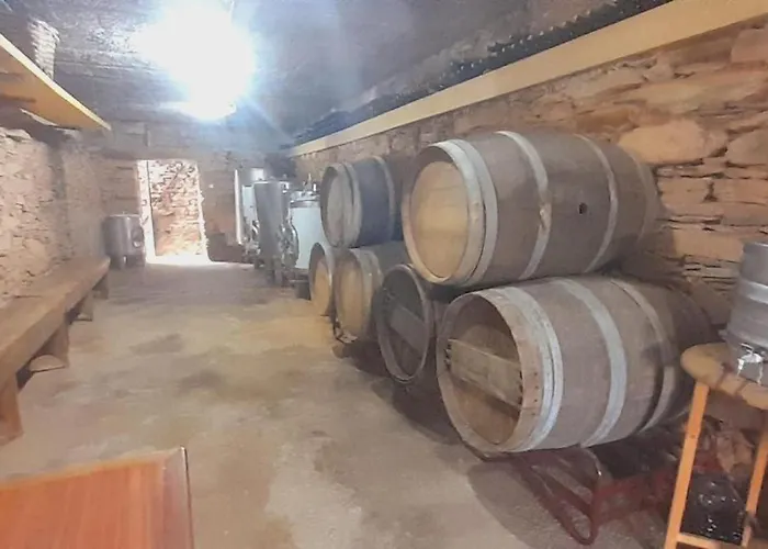 Casa De Canelas - Refugio Terroir Acoreira