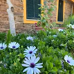منزل ريفي Casa De Canelas - Refugio Terroir