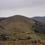 منزل ريفي Casa De Canelas - Refugio Terroir Acoreira
