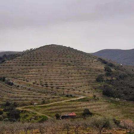 Casa de Campo Casa De Canelas - Refugio Terroir