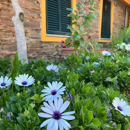 Casa de Campo Casa De Canelas - Refugio Terroir *