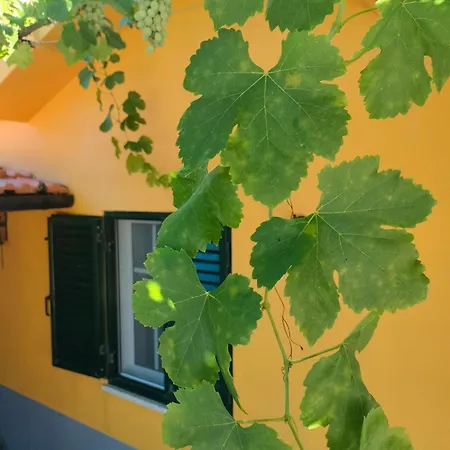 Casa De Canelas - Refugio Terroir *