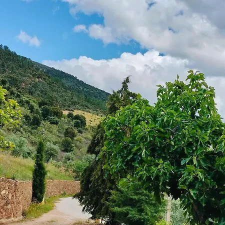 Hétvégi ház Casa De Canelas - Refugio Terroir