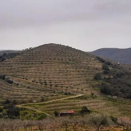 Hétvégi ház Casa De Canelas - Refugio Terroir Acoreira