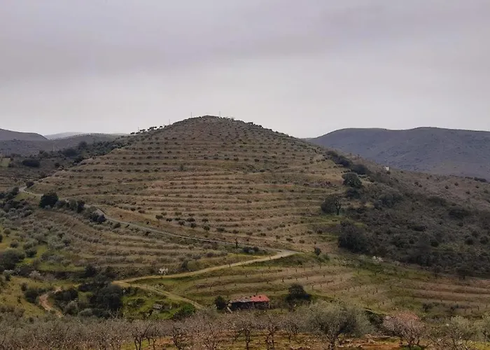 Gospodarstwo wiejskie Casa De Canelas - Refugio Terroir